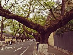 -颐和路民国时期公馆风貌区