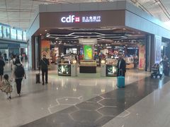 -日上免税店(三径路t3店)