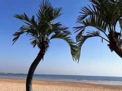 -巧克力渔家.小船海鲜胶东菜(万平口店)