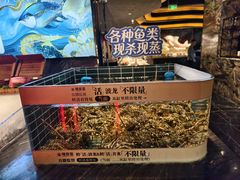 -雍容荟活波龙自助餐(IFS黑金店)