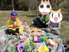 -长白岛森林公园