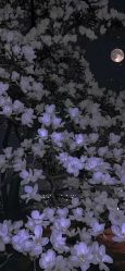 -小梨·OndaPro·专业脱毛连锁机构