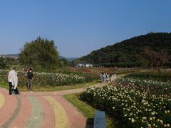 -龙寺生态园