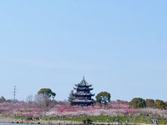 -上海海湾国家森林公园