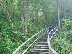 -茅兰沟国家森林公园