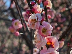 -大汉足道·影院式足疗按摩SPA(友谊广场店)