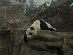 -鄂尔多斯野生动物园