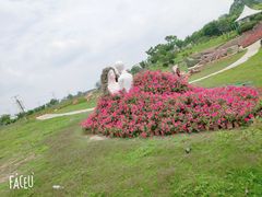 -紫颐香薰山谷景区