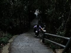 -紫金山山顶公园