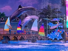 -海合安武汉极地海洋公园