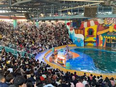 -海合安武汉极地海洋公园