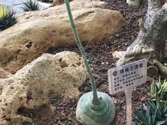 -南通洲际绿博园