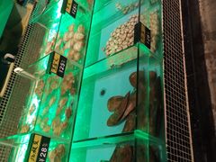 -JUKEBOX玖部音乐餐厅(华侨城店)