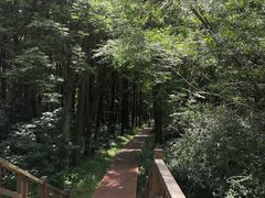 -同里国家湿地公园