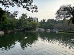 -晓港公园