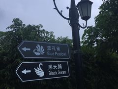 -厦门悦华酒店