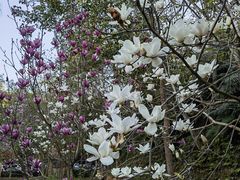 -梅州雁山湖国际花园度假区