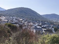 -香雪海