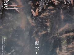 -红山村