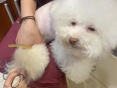-艾贝尔宠物医院·24H转诊中心·肿瘤猫专科(江宁双龙店)