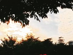-西湖公园(鼓楼区)