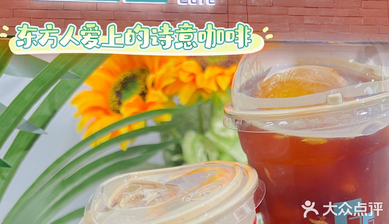 66东方咖啡☕和诗意🍃一起很动听