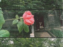 -潭柘寺景区