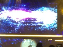 -南京奥林匹克体育中心-体育馆