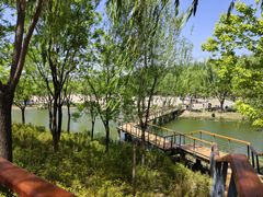 -东郊湿地公园