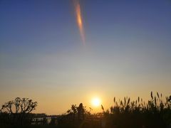 -芒洲湿地公园