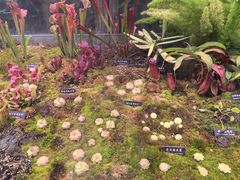 -中国科学院西双版纳热带植物园