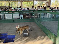 -秦皇岛野生动物园
