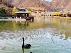 -静之湖度假区