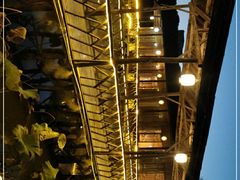 -军山湖云水间生态农业旅游景区