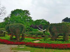 -铁山坪森林公园