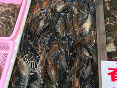 -大湾区中央湿地公园-十九涌