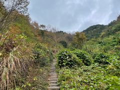 -大罗山风景区