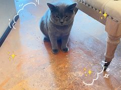 -Me Coffee下午茶艺术空间