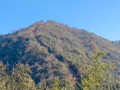 -杭州半山国家森林公园