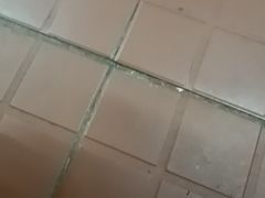 -湖锦酒楼·旗舰店(三阳总店)