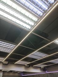 -跳动全城舞蹈