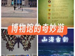 -烟台市博物馆