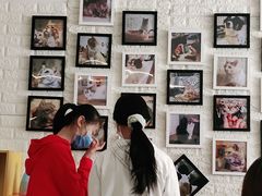 -平行世界·猫咖(首经贸店)