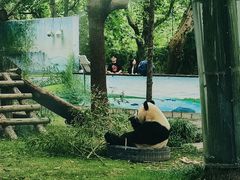 -上海野生动物园