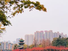 -望江楼公园