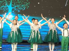 -飞童凡响艺术学校(松江区九里亭校区)