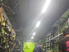 -道路口单车爱瓦士dahon大行