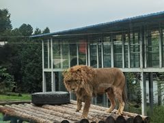 -西安秦岭野生动物园