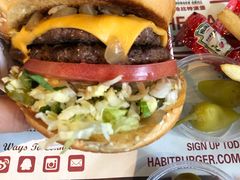 -The Habit Burger Grill 哈比特汉堡(复兴soho店)