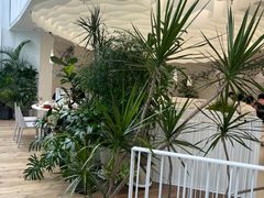 -大树餐厅(红旗街万达店)